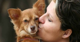 Kur mit Hund